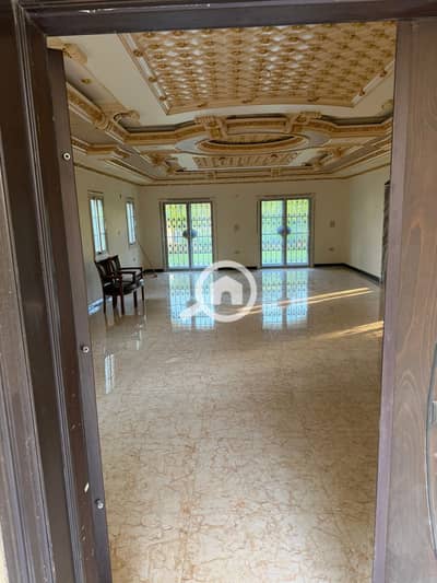 4 Bedroom Villa for Rent in Madinaty, Cairo - WhatsApp Image 2026-02-06 at 1.17. 49 PM. jpeg