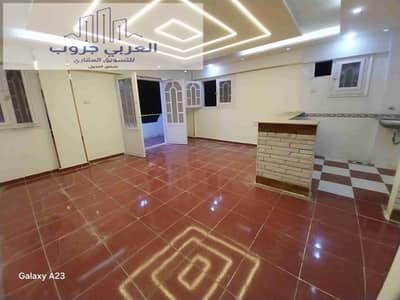 فلیٹ 2 غرفة نوم للبيع في النخيل، الإسكندرية - 1000354976. heic