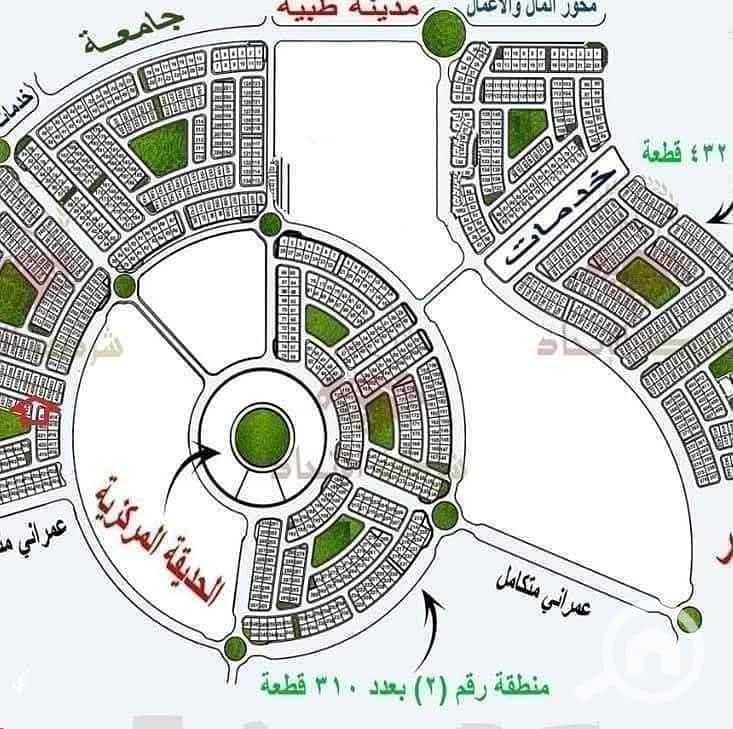 10 597862906_122253894416257771_4347795521995382228_n. jpg