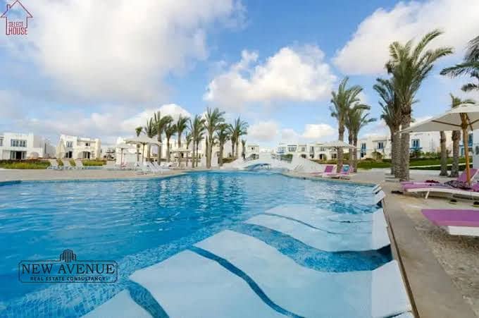 2 WhatsApp Image 2026-02-01 at 3.55. 31 PM (1). jpeg