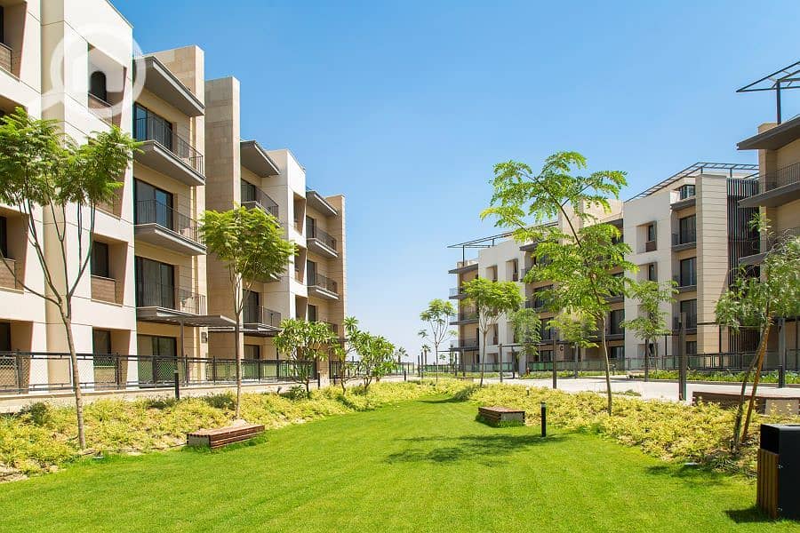 10 renditionDownload (3). jpg