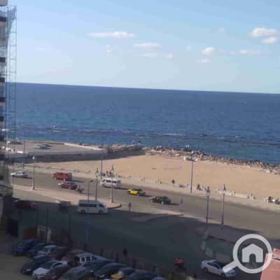 2 Bedroom Flat for Rent in Miami, Alexandria - 1000099917. jpg