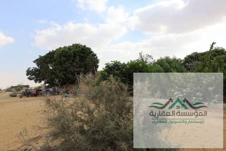 Residential Land for Sale in 6th of October, Giza - vcxvxcvcxvcxvcxvd. jpeg
