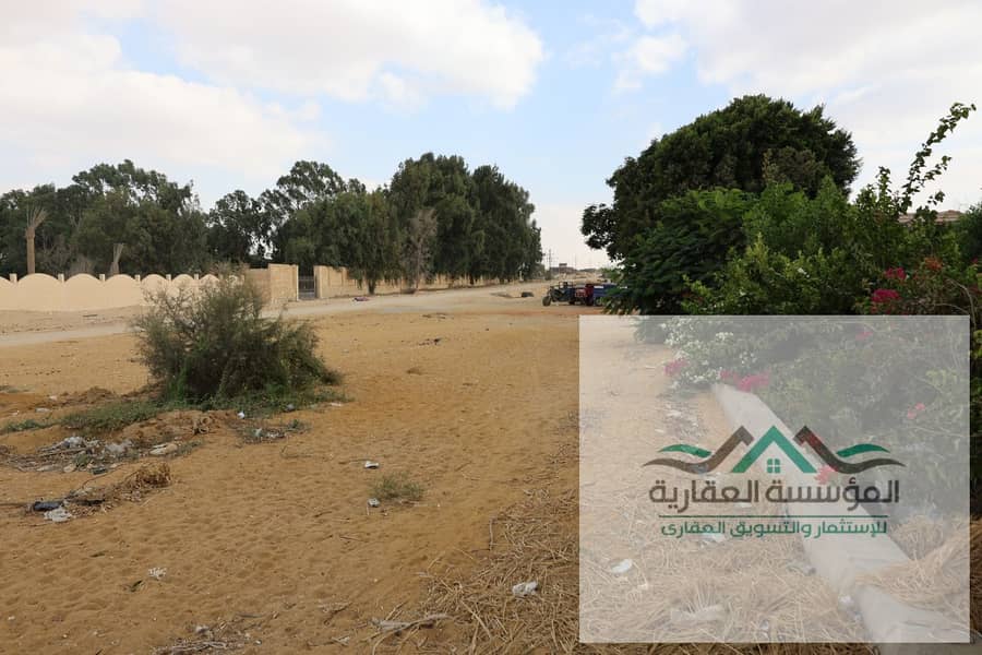 10 WhatsApp Image 2026-01-25 at 4.46سبيبيسبيس. 34 PM. jpeg