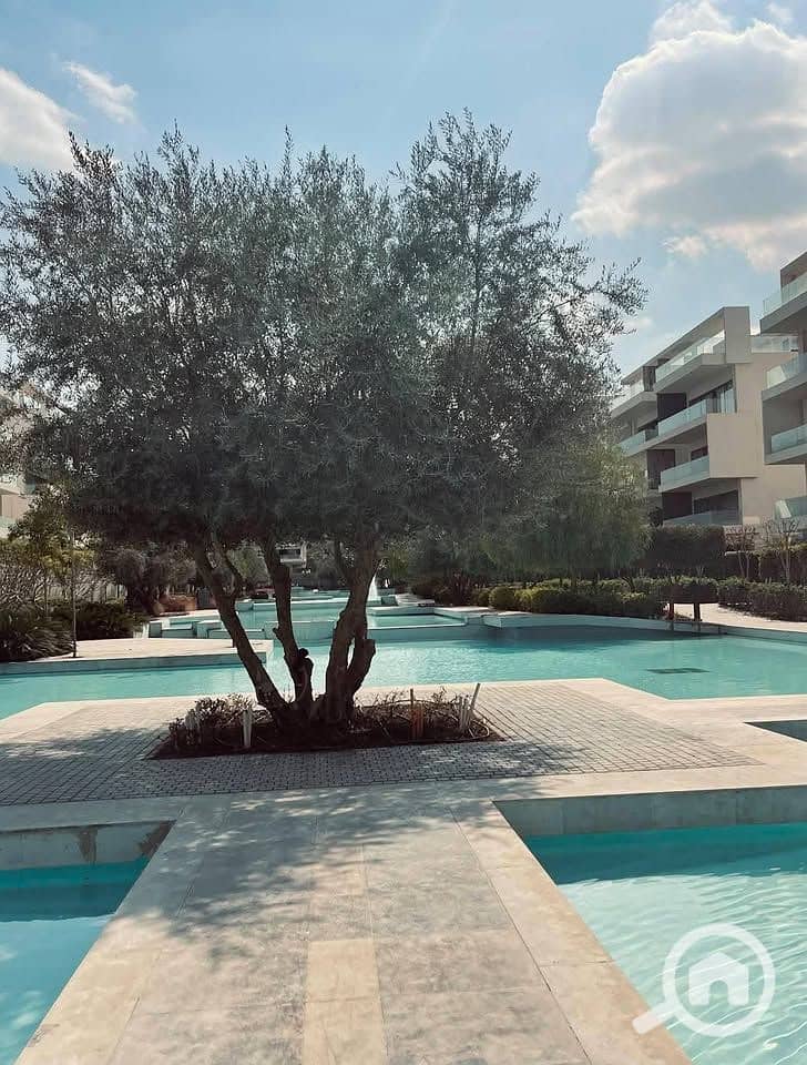 9 526933139_1803142473943086_1819859979377225308_n. jpg