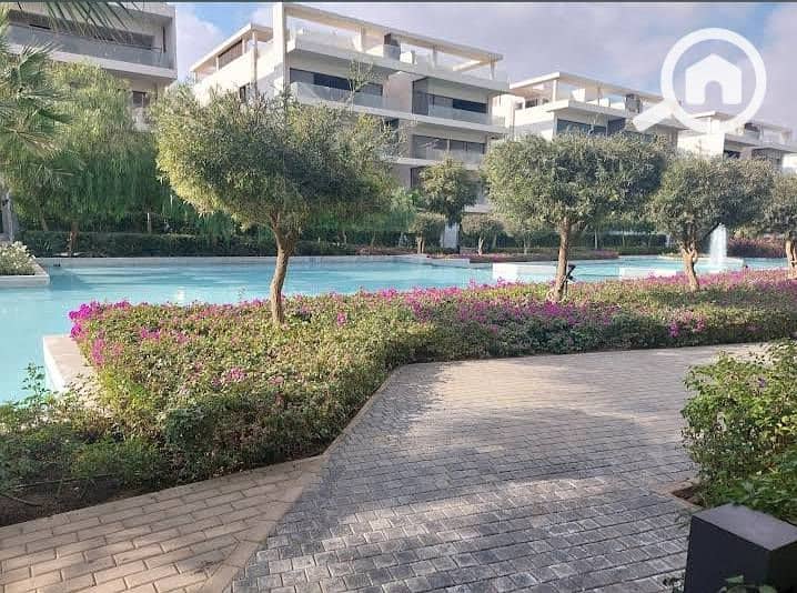 11 528815641_737171522565566_6352284647387589000_n. jpg