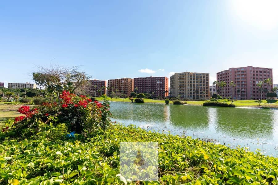 2 WhatsApp Image 2026-02-07 at 3.56. 19 PM (1). jpeg