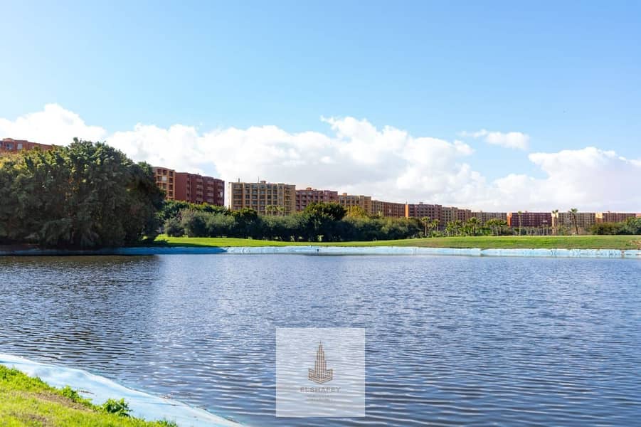 4 WhatsApp Image 2026-02-07 at 3.56. 15 PM (1). jpeg