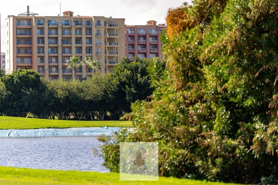 6 WhatsApp Image 2026-02-07 at 3.56. 15 PM (2). jpeg