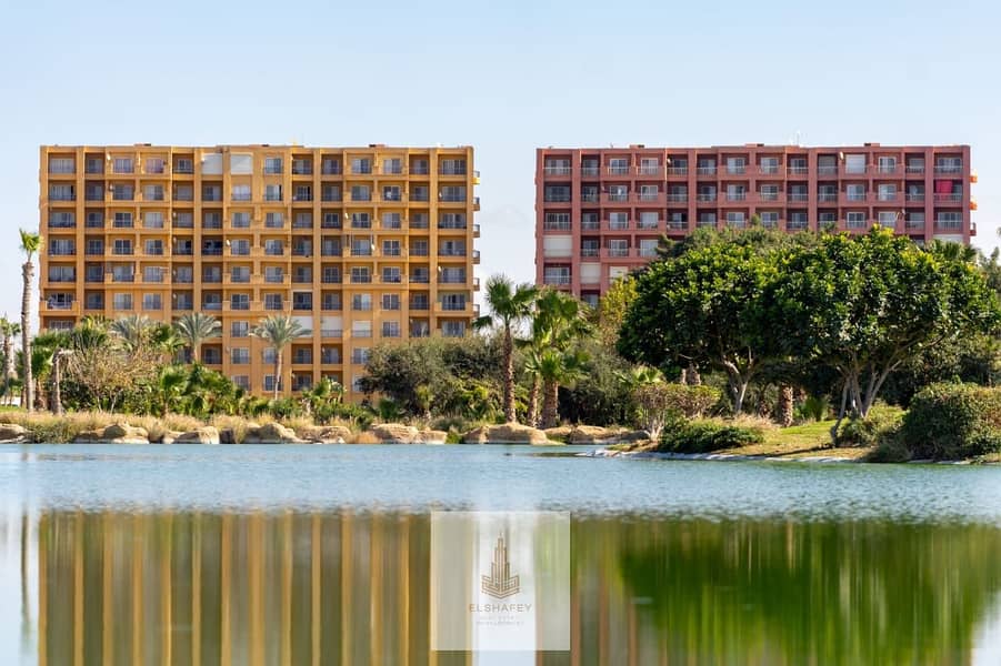 8 WhatsApp Image 2026-02-07 at 3.56. 16 PM (1). jpeg