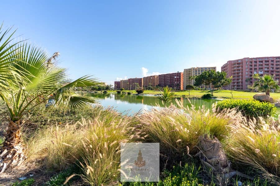 11 WhatsApp Image 2026-02-07 at 3.56. 18 PM (1). jpeg