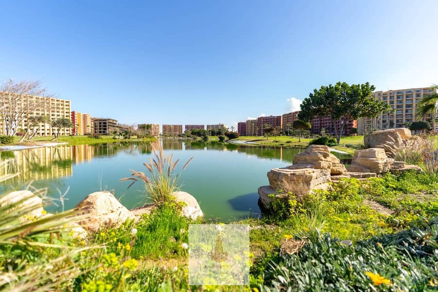 13 WhatsApp Image 2026-02-07 at 3.56. 18 PM. jpeg