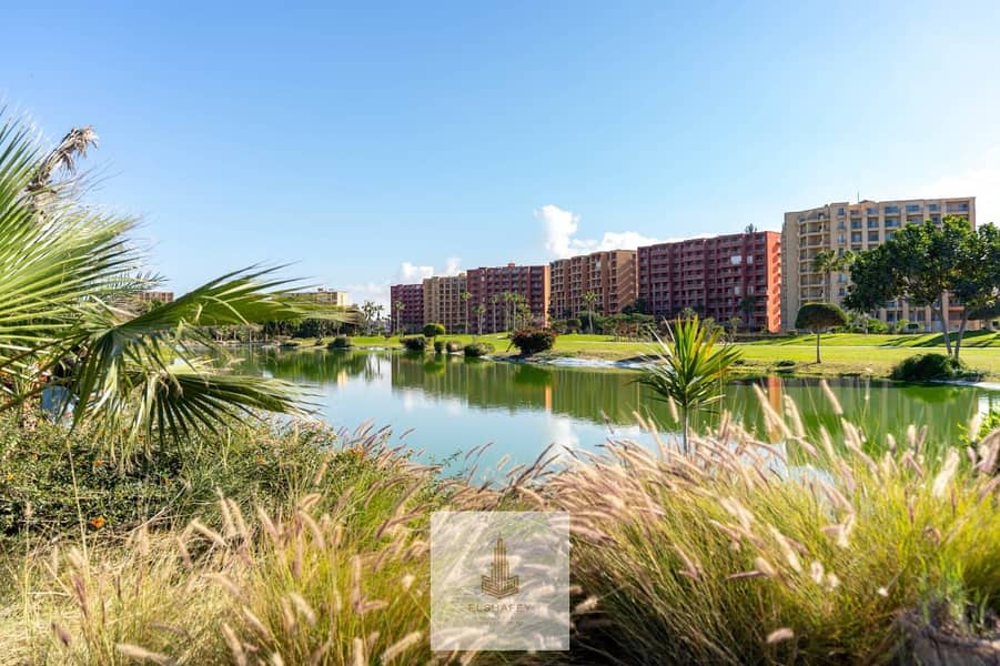 14 WhatsApp Image 2026-02-07 at 3.56. 19 PM. jpeg