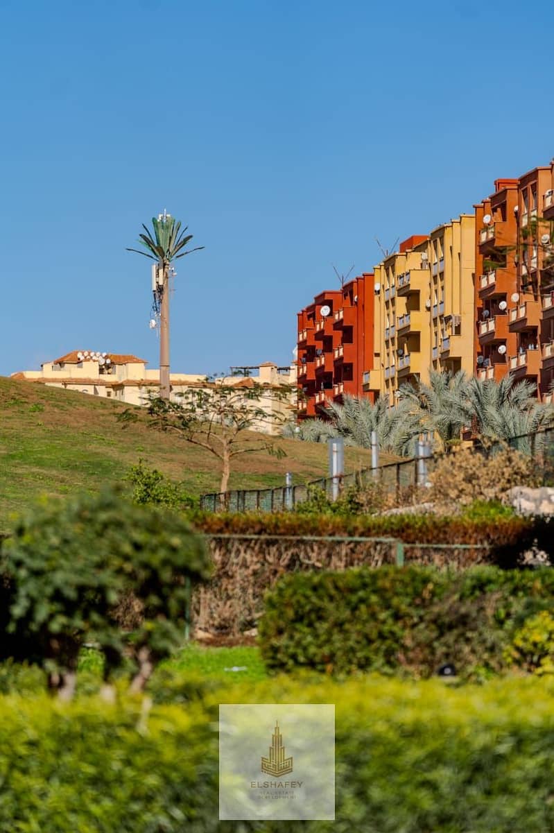 17 WhatsApp Image 2026-02-07 at 3.56. 21 PM. jpeg