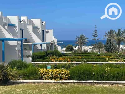 4 Bedroom Townhouse for Sale in North Coast, Matruh - 1000470942. jpg 4 Bedroom Townhouse for Sale in North Coast, Matruh - 1000470942. jpg