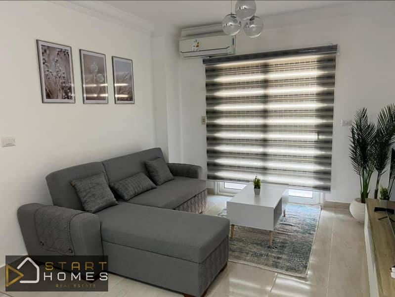 3 WhatsApp Image 2026-02-08 at 3.54. 44 PM (1). jpeg