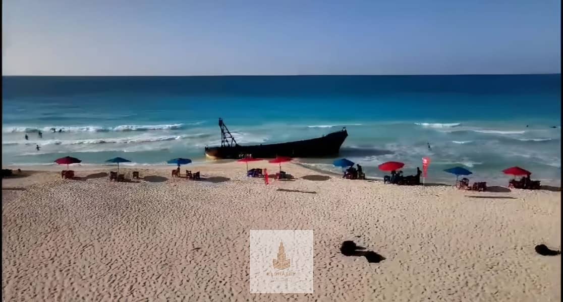 14 WhatsApp Image 2026-02-07 at 4.56. 33 PM (4). jpeg