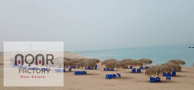 2 Bedroom Chalet for Sale in Ras Sedr, Sinai - WhatsApp Image 2025-12-01 at 4.31. 21 PM (1). jpeg