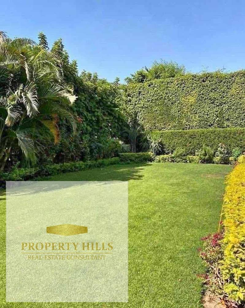 4 1bd49404-7af0-4c92-a36d-5a92c9d541d3. jpg