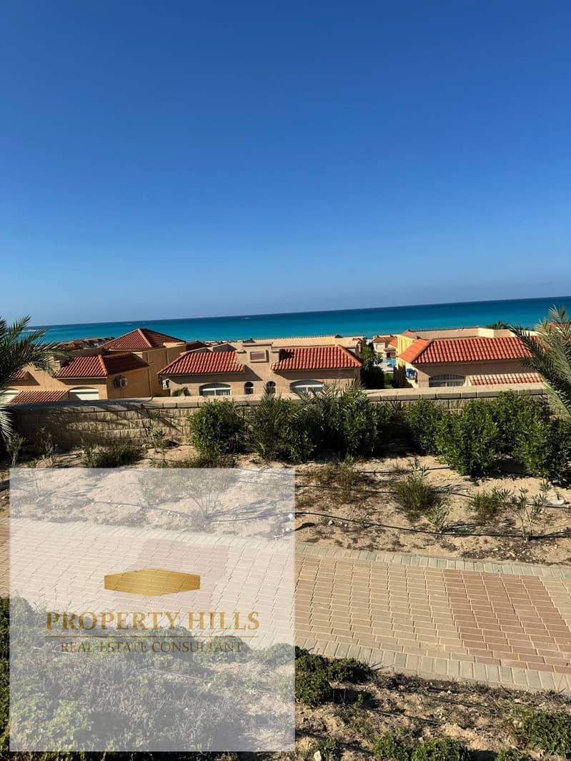 2 WhatsApp Image 2025-10-19 at 23.50. 40_688f61bb. jpg