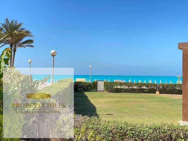 8 4346b0fe-5a0f-4289-8d60-1b078b24ec41. jpg