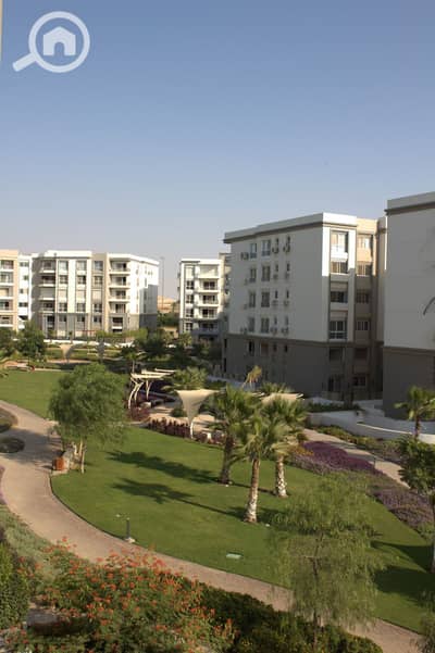 3 Bedroom Flat for Rent in New Cairo, Cairo - WhatsApp Image 2026-02-08 at 6.01. 17 PM (4). jpeg