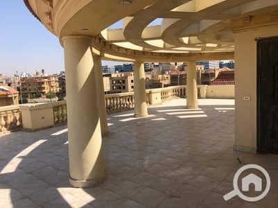 4 Bedroom Apartment for Rent in New Cairo, Cairo - 0b2603cb-fe5e-4d35-8857-0d05499226ce. jpg