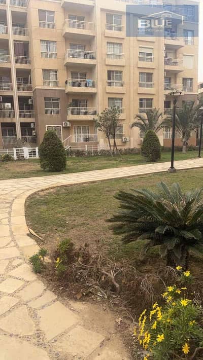 فلیٹ 3 غرف نوم للايجار في مدينتي، القاهرة - 6dcc9230-22dd-4cb4-a13c-dc6cf7cbf3cb. jpg فلیٹ 3 غرف نوم للايجار في مدينتي، القاهرة - 6dcc9230-22dd-4cb4-a13c-dc6cf7cbf3cb. jpg