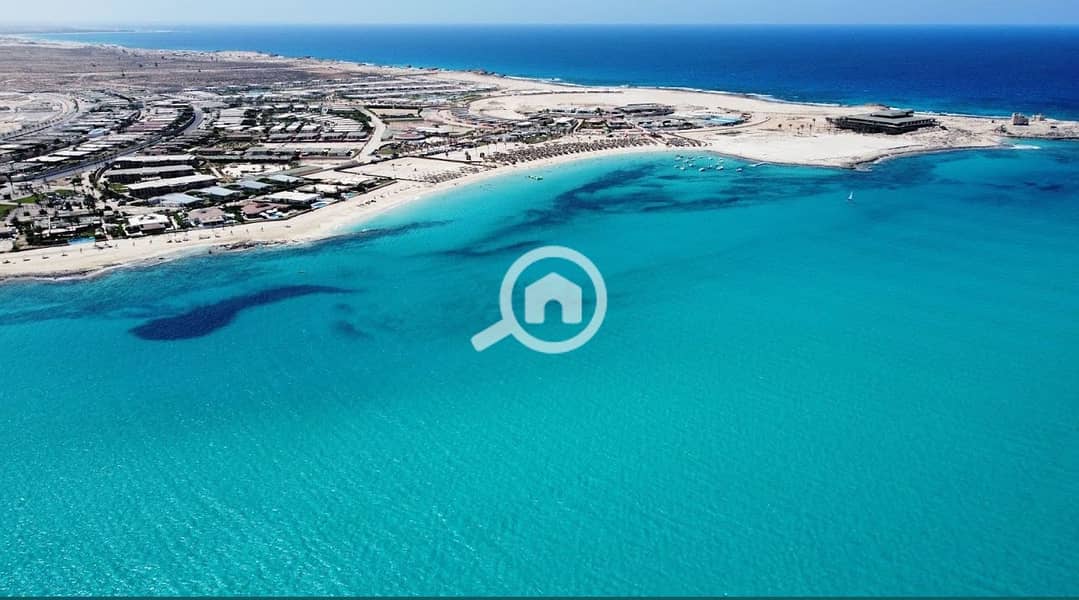 4 WhatsApp Image 2024-08-05 at 4.25. 42 PM (1). jpeg