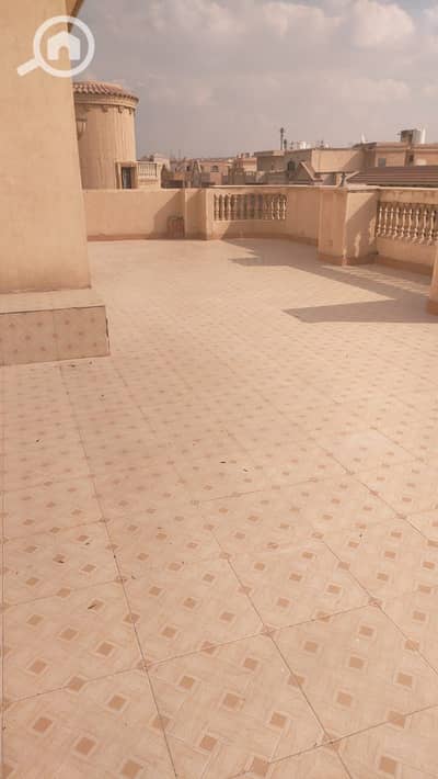 10+ Beds Villa for Sale in New Cairo, Cairo - WhatsApp Image 2026-02-09 at 10.18. 20 PM. jpeg 10+ Beds Villa for Sale in New Cairo, Cairo - WhatsApp Image 2026-02-09 at 10.18. 20 PM. jpeg