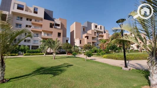 3 Bedroom Apartment for Sale in Madinaty, Cairo - WhatsApp Image 2026-02-09 at 12.06. 59 PM. jpeg