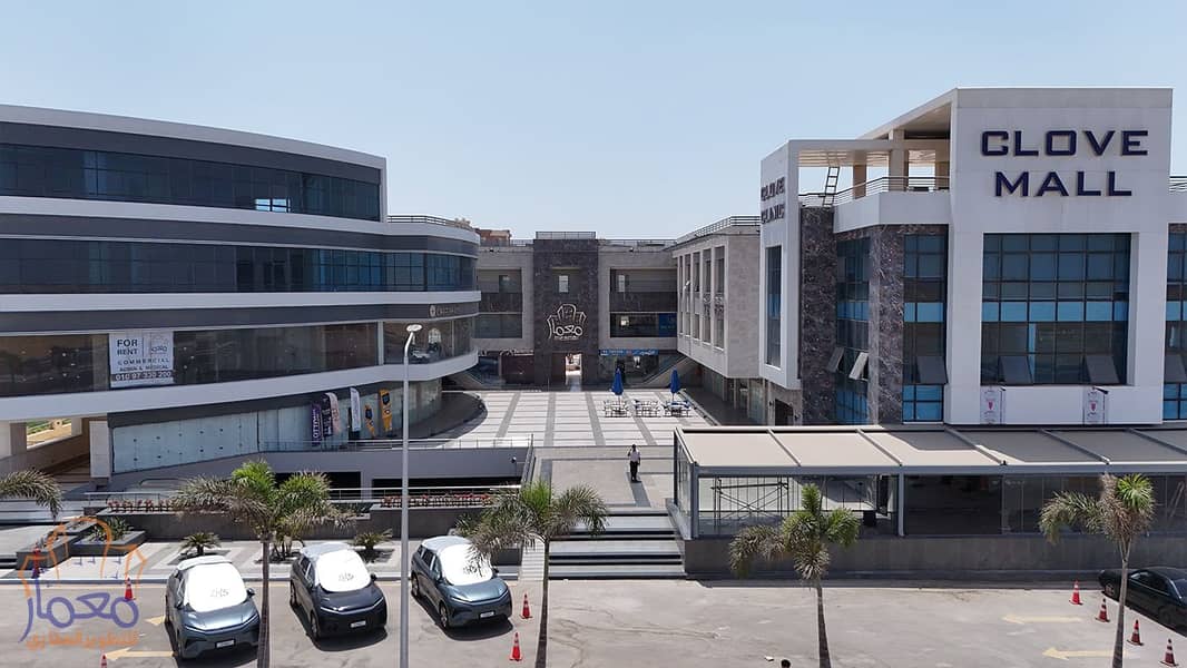 5 DJI_20250810123732_0027_D copy. jpg