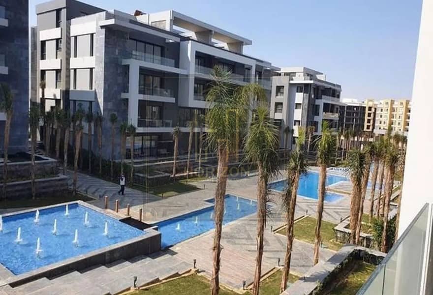 6 el patio . jpg