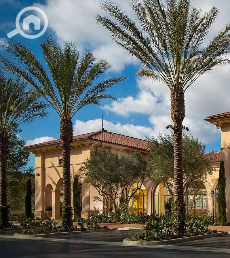 4 473265221_930928652436218_5857425564670624134_n. jpg