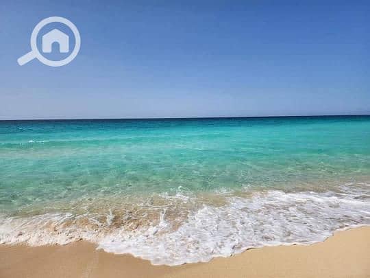 6 51f94f30-6796-4a70-b936-35ad45cbdfd1. jpg