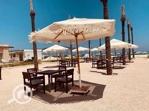 7 59cc5325-fcef-4f65-8241-1b5e35898c0b. jpg