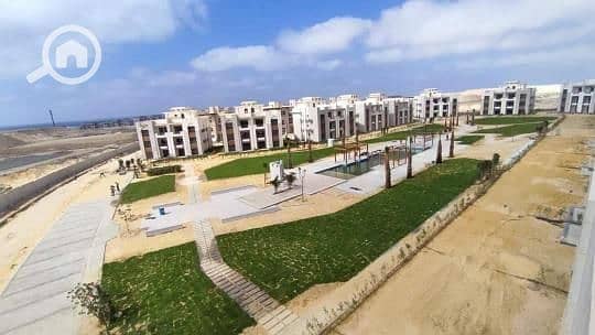 11 f851a275-18d3-4856-ac79-97b2b5c9d918. jpg