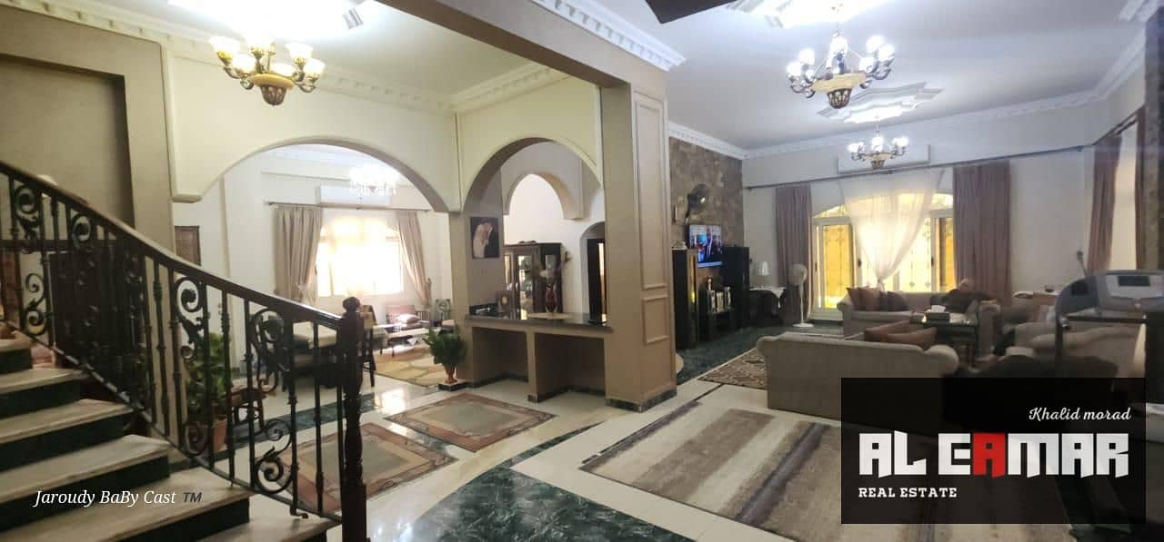 7 2aa92f51-0a60-4897-9f8c-7efd0c47c4d1. jpeg