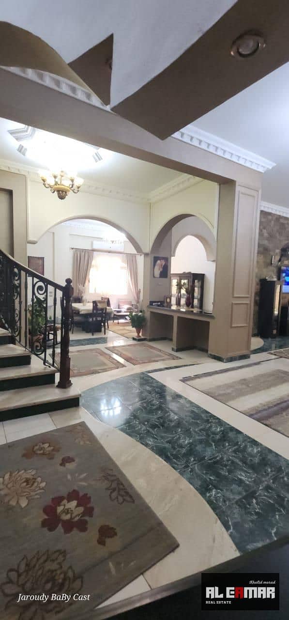 12 bf9006b3-e692-46a0-8631-1eb43c7fef1b. jpeg