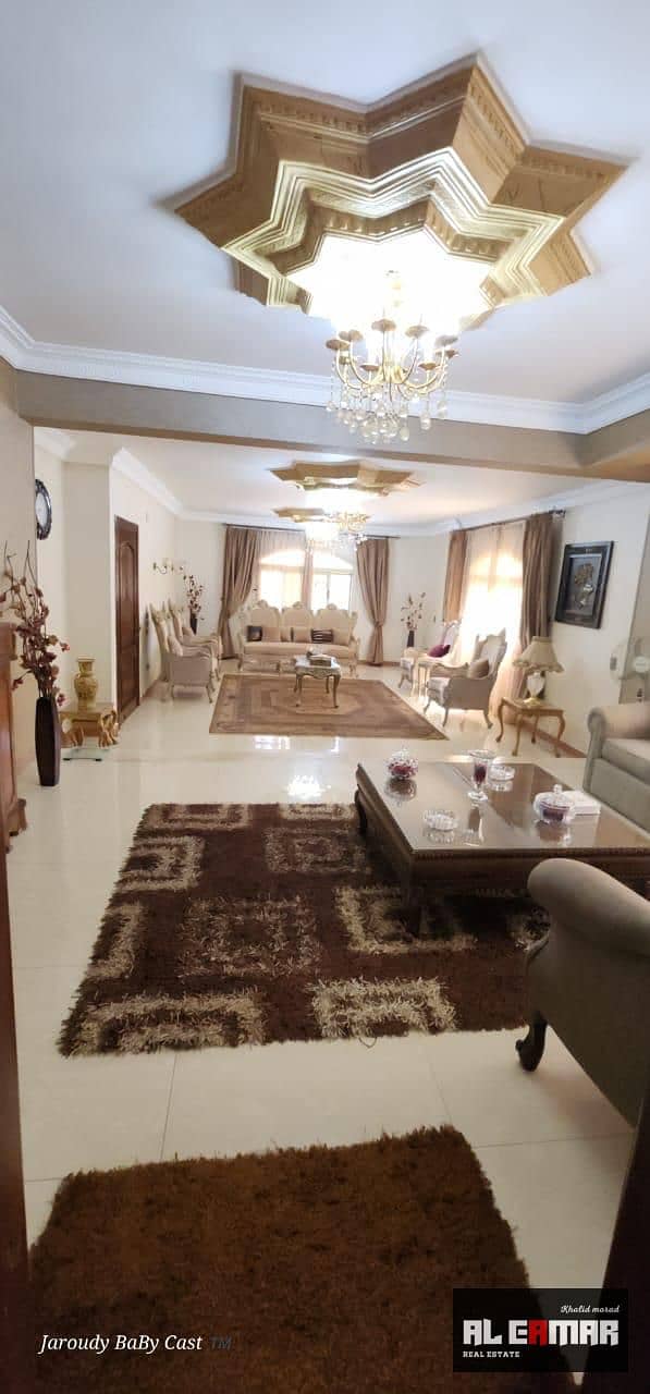 36 dd2428fa-ebdc-49de-8562-f525ec0405e5. jpeg