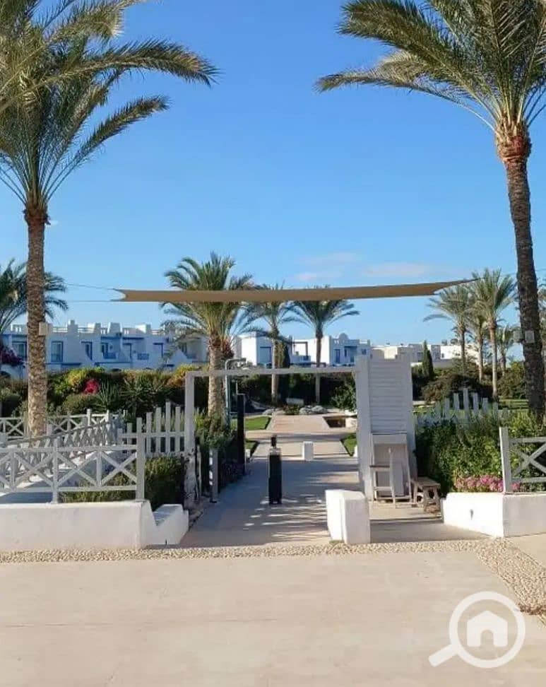 11 WhatsApp Image 2026-02-11 at 2.43. 12 PM. jpeg