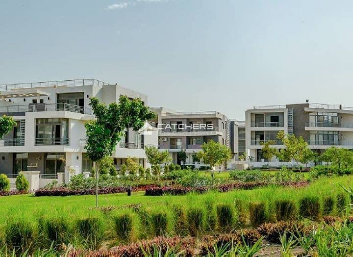 3 452962073_1963691254101248_2157282298405451477_n. jpg