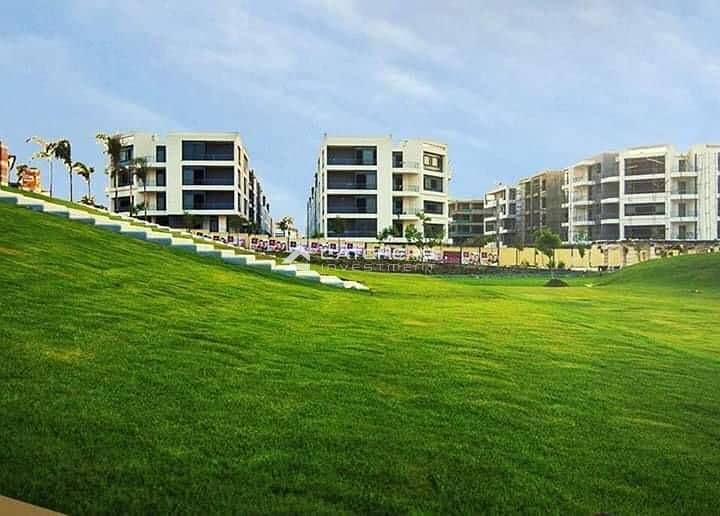 12 d70efea3-c9f7-49d6-9045-424d29ea2df0. jpg