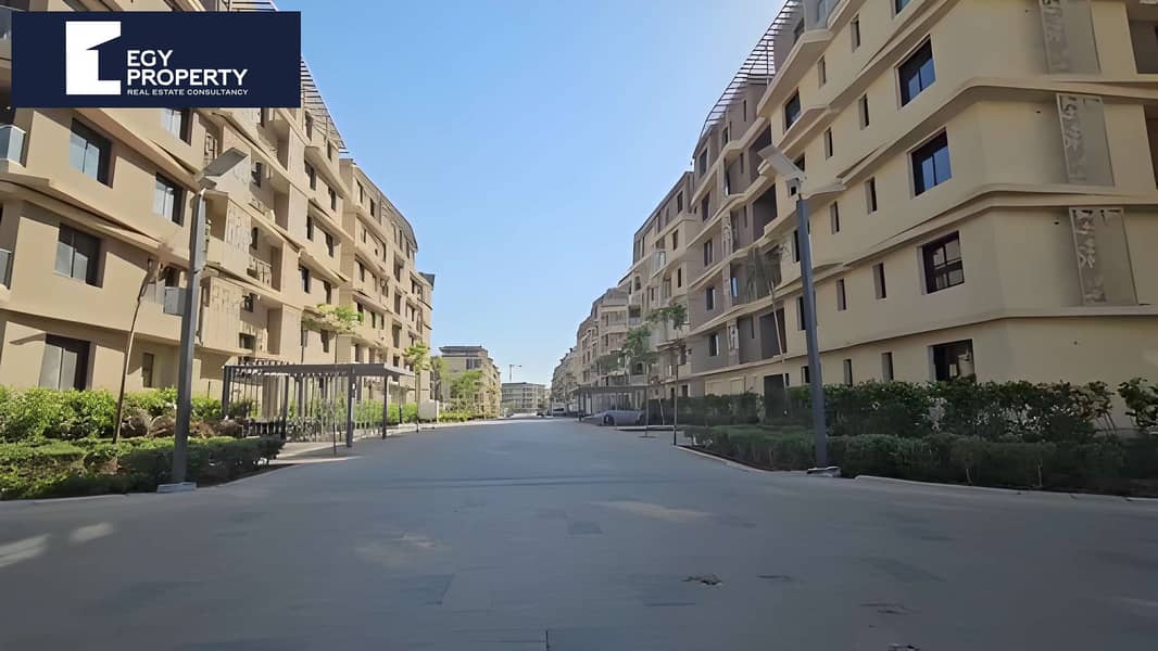 7 555. jpg