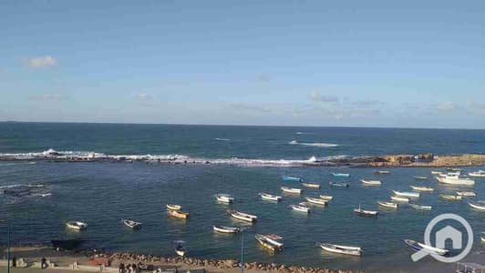 شقة 3 غرف نوم للايجار في ميامي، الإسكندرية - 1000096624. jpg شقة 3 غرف نوم للايجار في ميامي، الإسكندرية - 1000096624. jpg
