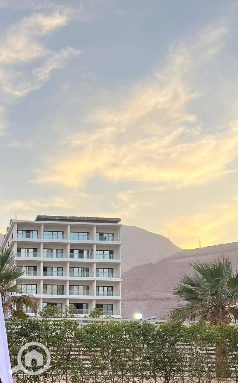 WhatsApp Image 2026-02-12 at 11.28. 33 AM (3). jpeg WhatsApp Image 2026-02-12 at 11.28. 33 AM (3). jpeg