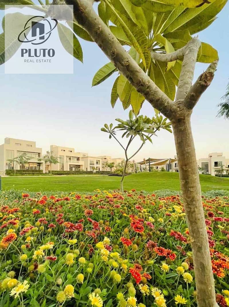 11 12fc8a21-9f7c-4adc-82ff-dc00d5a6433e. jpg