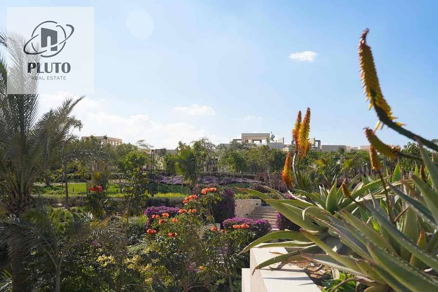 15 47f803a8-14ef-4a89-bb3d-631882414663. jpg