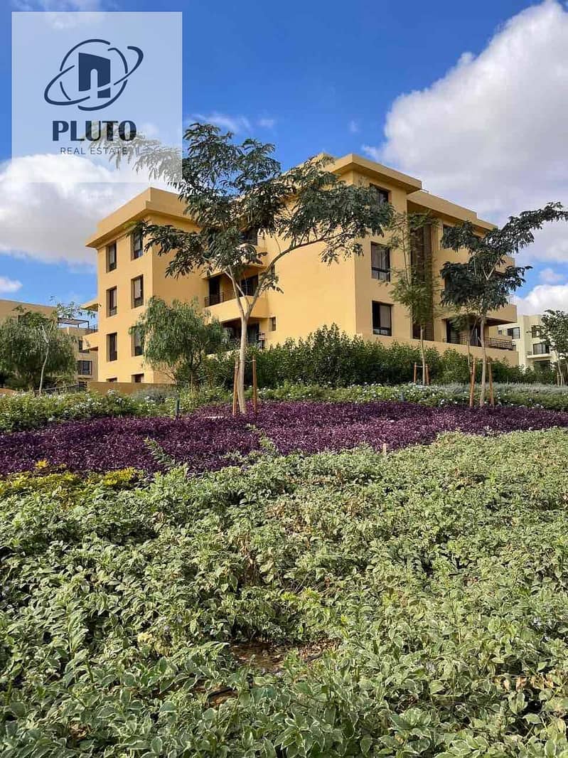 16 848dab91-de78-4e76-8eab-d0f82c0ad627. jpg