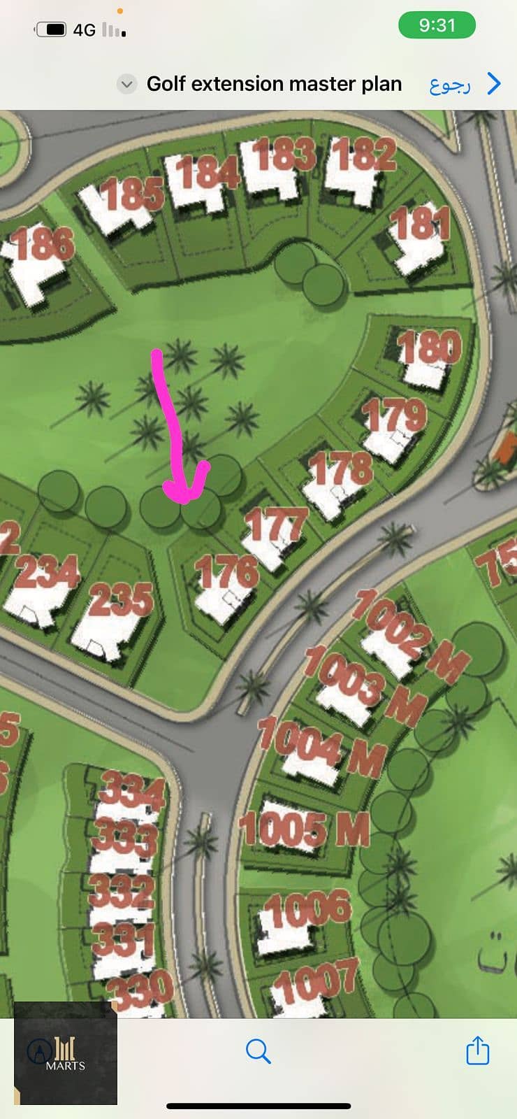 12 WhatsApp Image 2026-02-12 at 4.25. 58 PM (2). jpeg